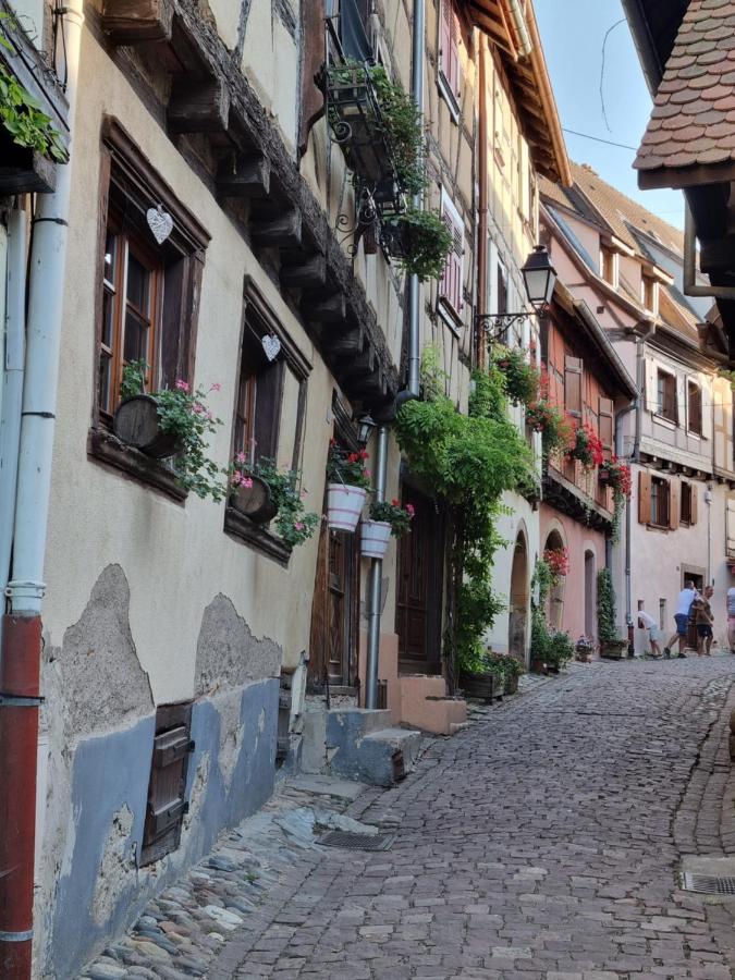 Apartmán L'Ourson Colmar Exteriér fotografie